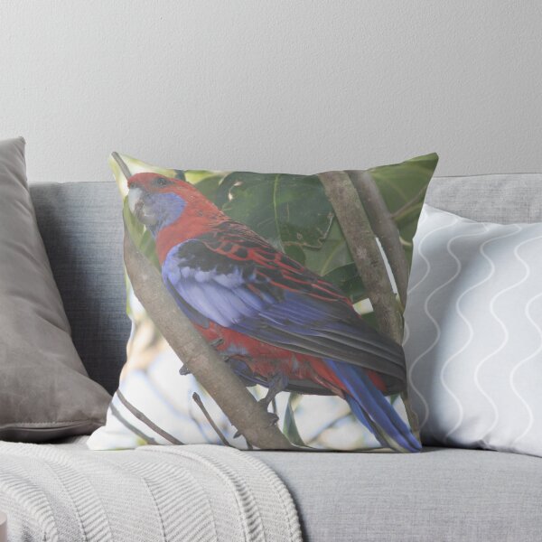 Item preview, Come out to play designed and sold by Kellea Croft.