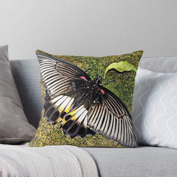 Item preview, " Butterfly" designed and sold by mrcoradour.
