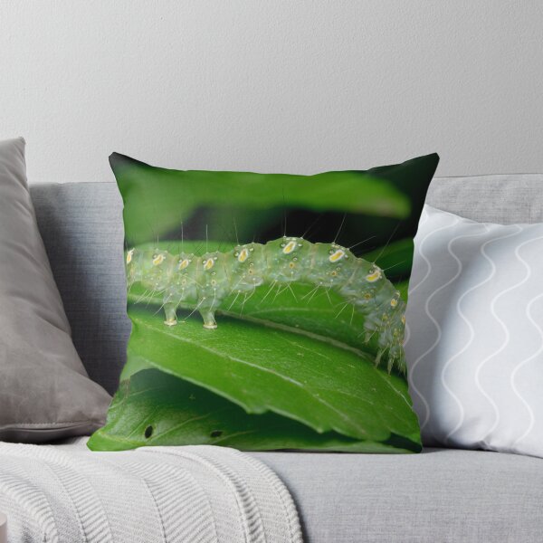 Aperçu de l'œuvre Transverse Moth Caterpillar créée et vendue par Andrew Trevor-Jones.