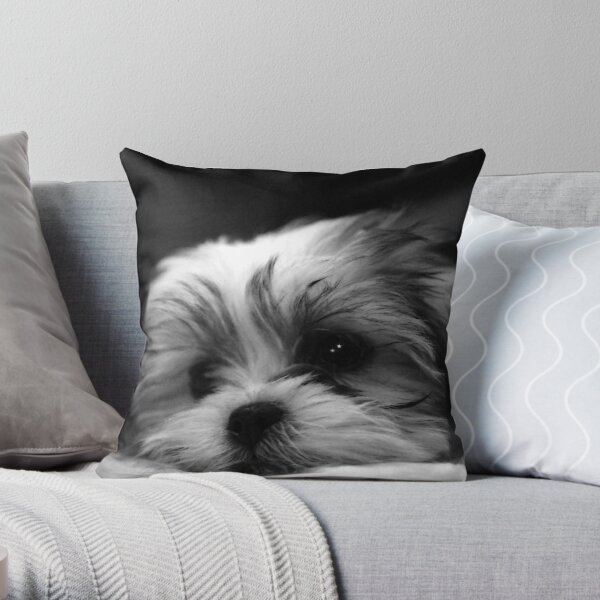 Shitzu/Maltese Mix Puppy Throw Pillow