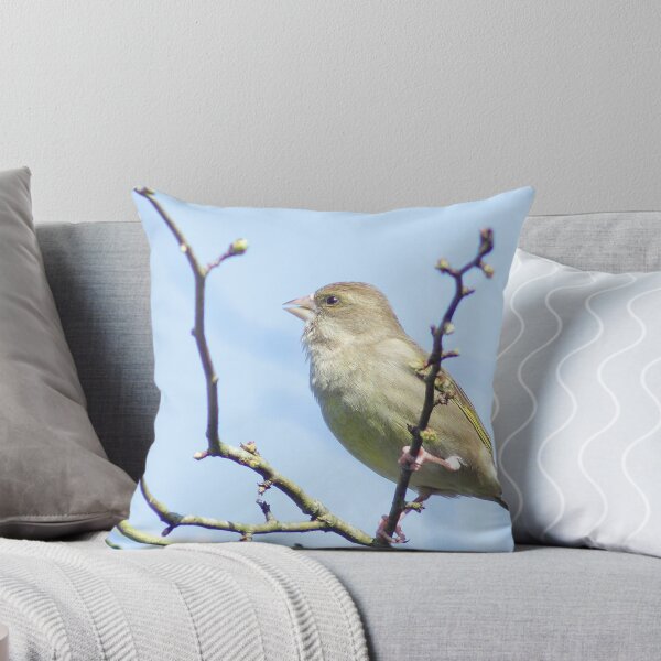 Item preview, Greenfinch designed and sold by Marloag.
