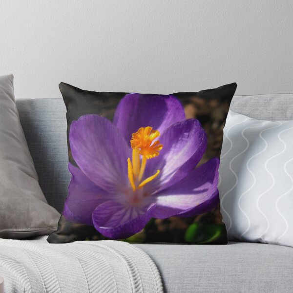 Item preview, Crocus Crazy designed and sold by janetlee.