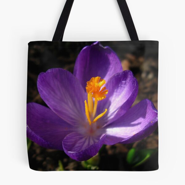 Item preview, Crocus Crazy designed and sold by janetlee.