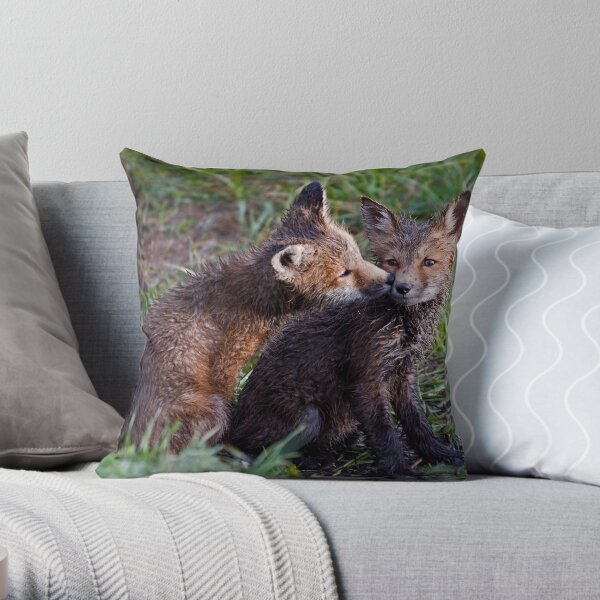 Fox Kits Drenched and Nuzzling Throw Pillow