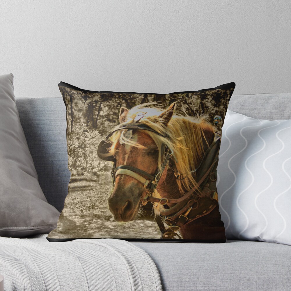 Item preview, Throw Pillow designed and sold by believer9.