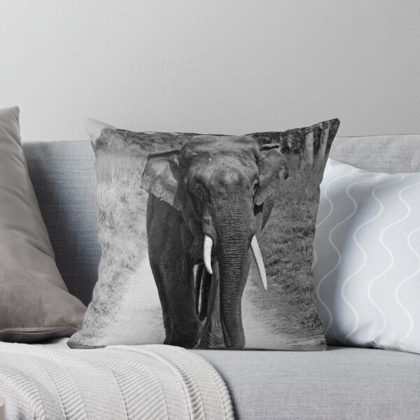 Item preview, Asiatic Elephant (Tusker) designed and sold by Varun Chopra.