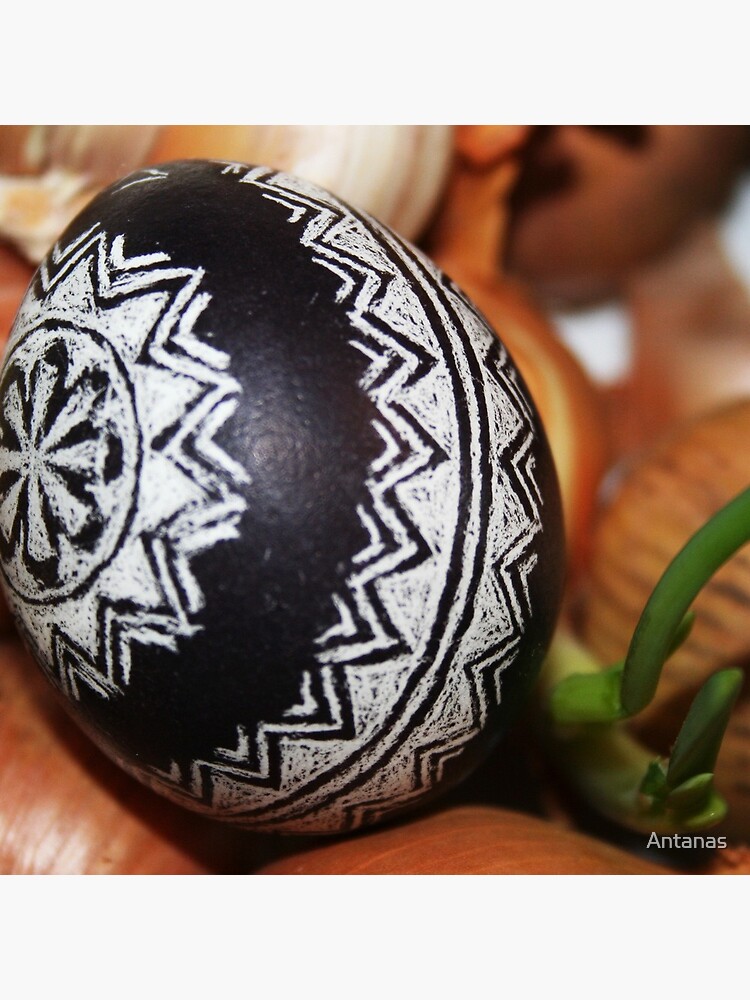 Easter Egg by Antanas