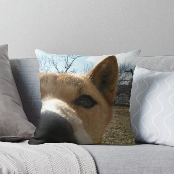 Item preview, New Guinea Singing Dog Close-up designed and sold by z00girl.