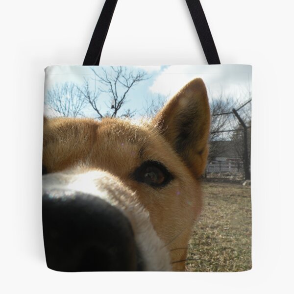 Item preview, New Guinea Singing Dog Close-up designed and sold by z00girl.