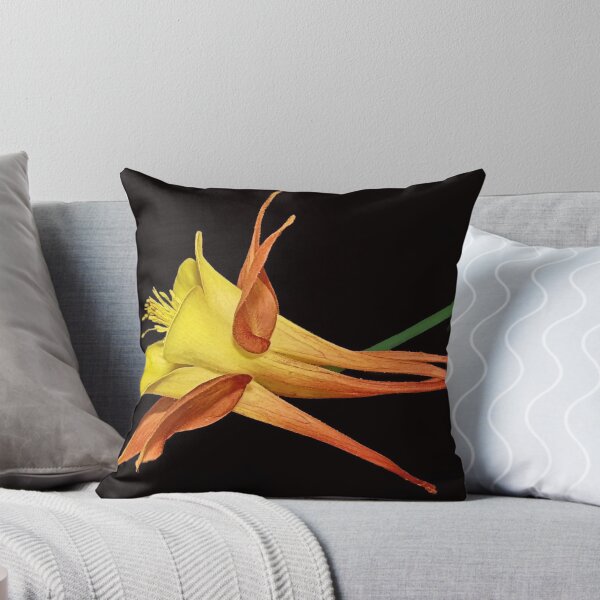 Item preview, STRUT YOUR STUFF !!! designed and sold by VickiOBrien.
