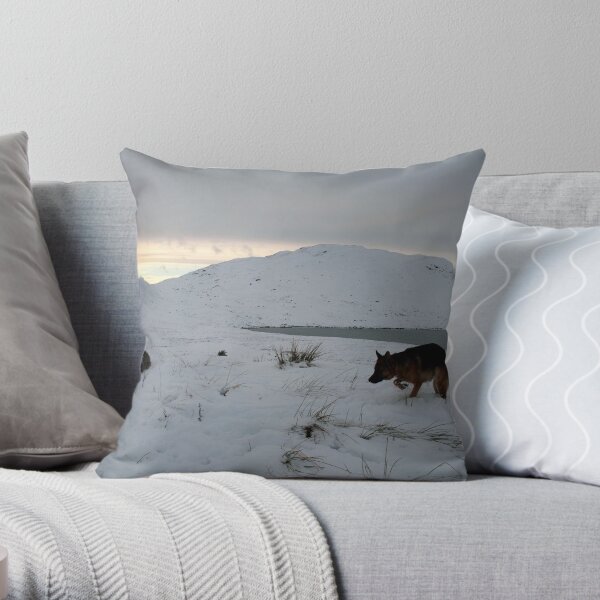 Brrrrrrrrrrrrr Throw Pillow
