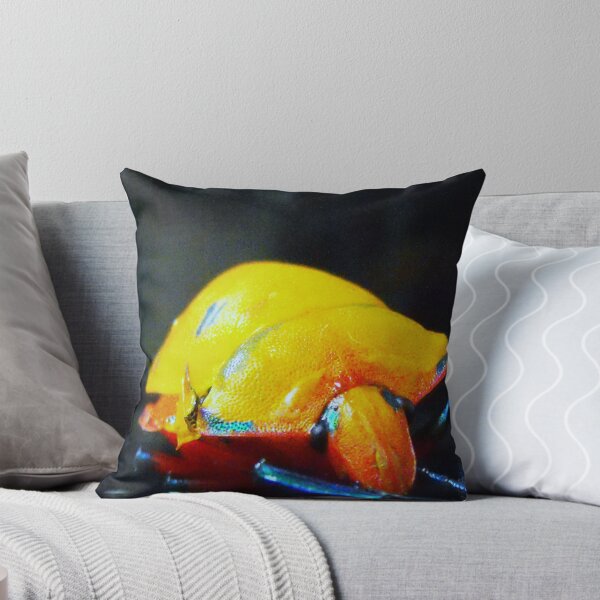 Item preview, Orange peel beetle???? designed and sold by Dave Storey.