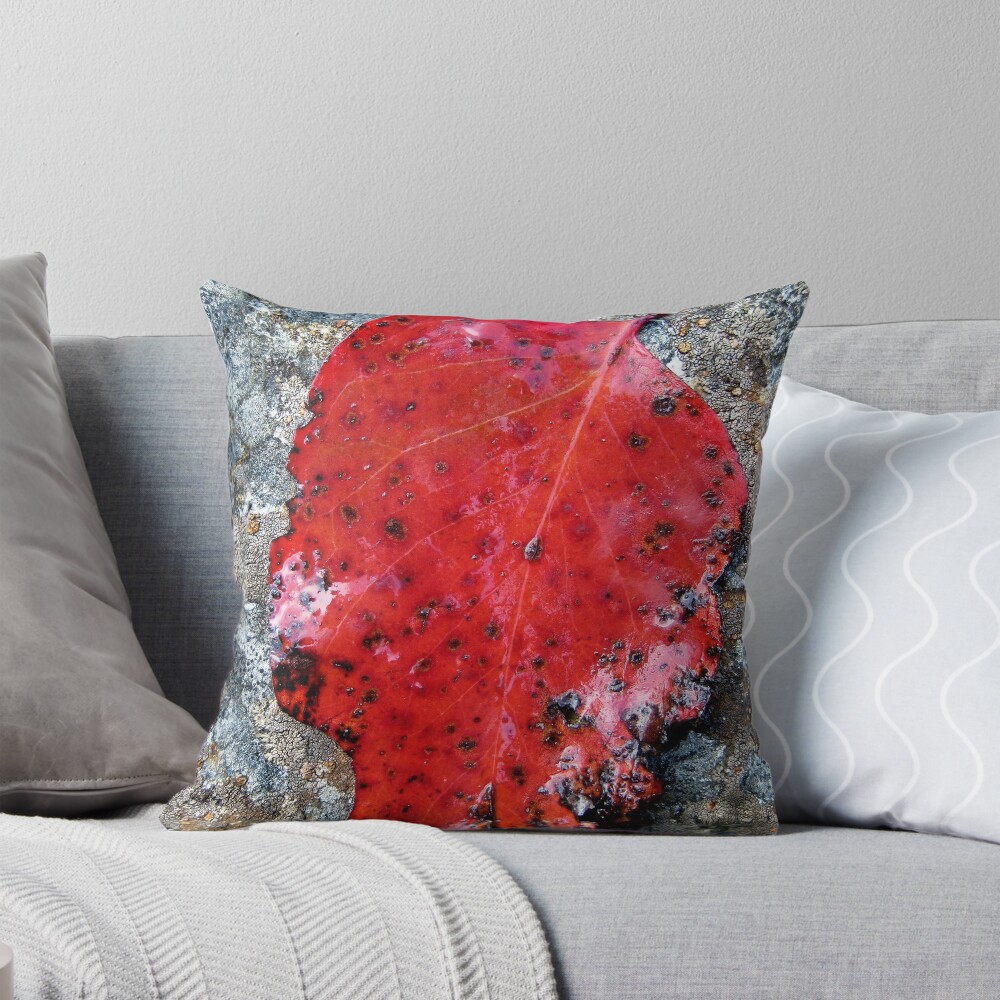 Item preview, Throw Pillow designed and sold by ronmoss.