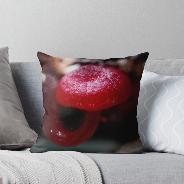 Item preview, Fungi Season 6 designed and sold by Normf.