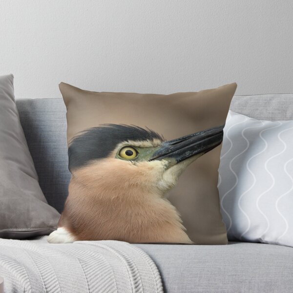 Item preview, Nankeen Night Heron Look Up designed and sold by Tom Newman.