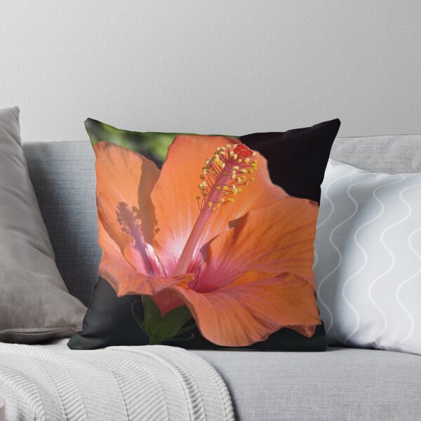 Item preview, Orange Chaba designed and sold by PixPlanet.
