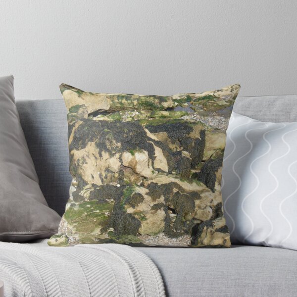 Item preview, Seaweed on Rocks designed and sold by Phil Rogers.