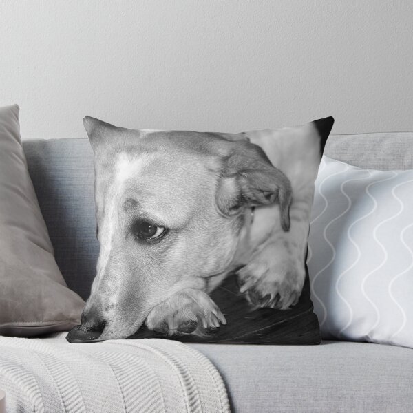 Item preview, Patiently Waiting designed and sold by Taylor Russell.