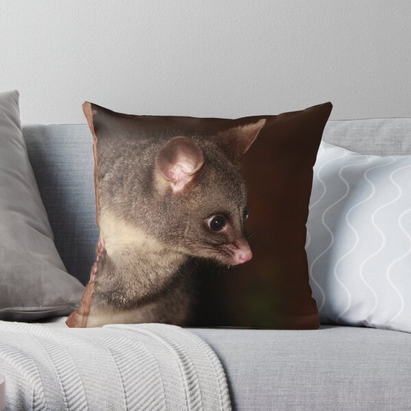 My what big eyes you have! Throw Pillow