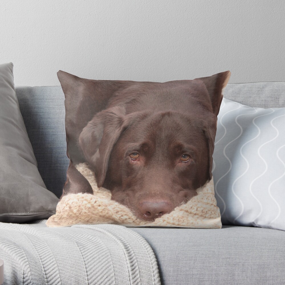 lab dog pillow