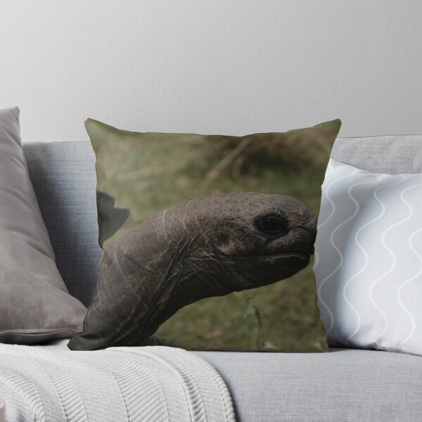 Old, old man... Throw Pillow