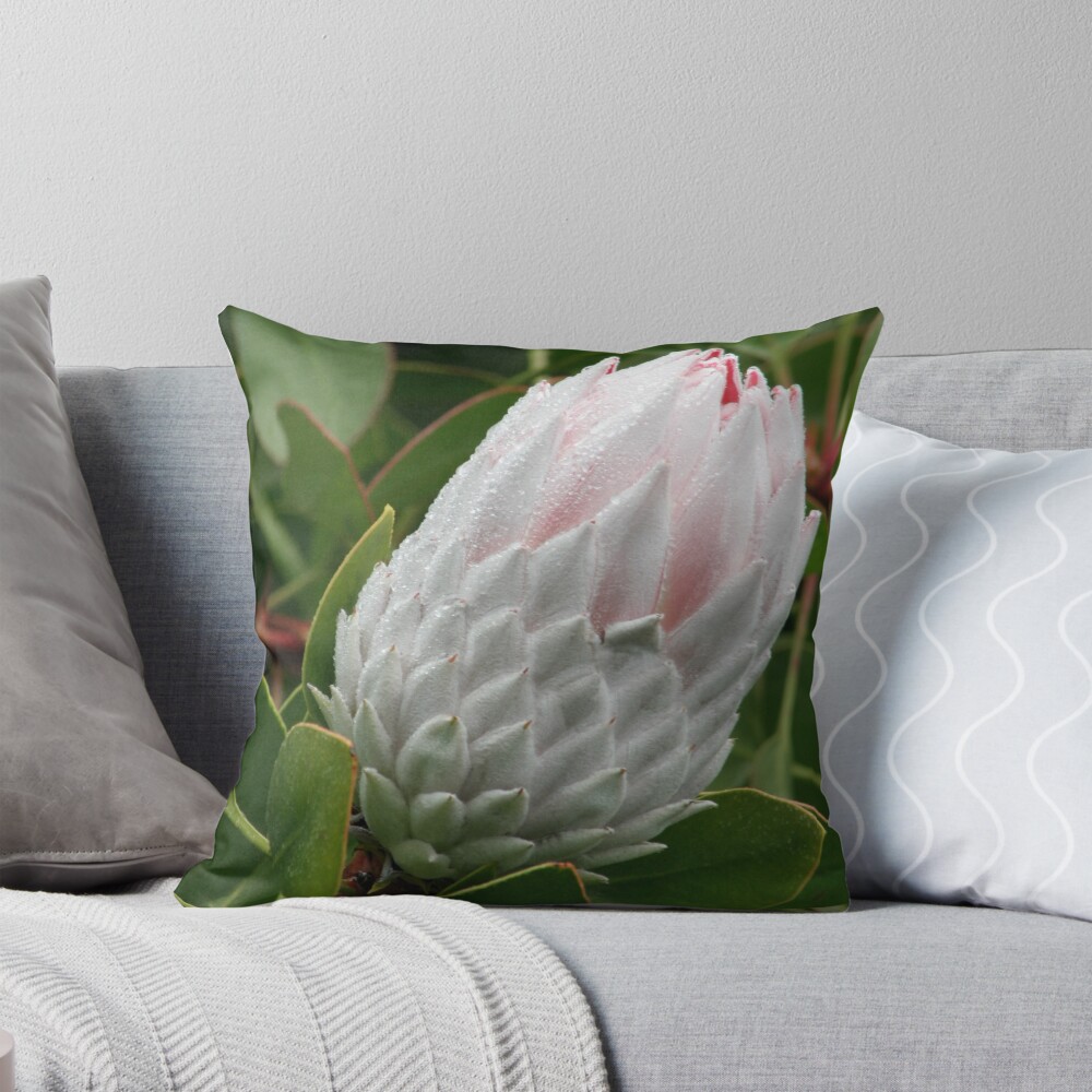 Item preview, Throw Pillow designed and sold by Kells.