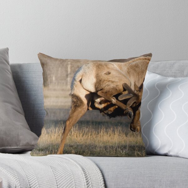 Item preview, Ooo, Ooo, Ooo That Feels Good designed and sold by Melissa  Hintz.