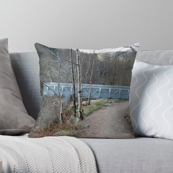 The  Viewpoint Throw Pillow