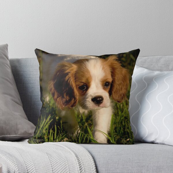 Sunset Sillyness Throw Pillow