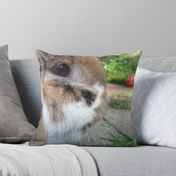 Item preview, Nutty nibbling grass designed and sold by AngelaFoster.