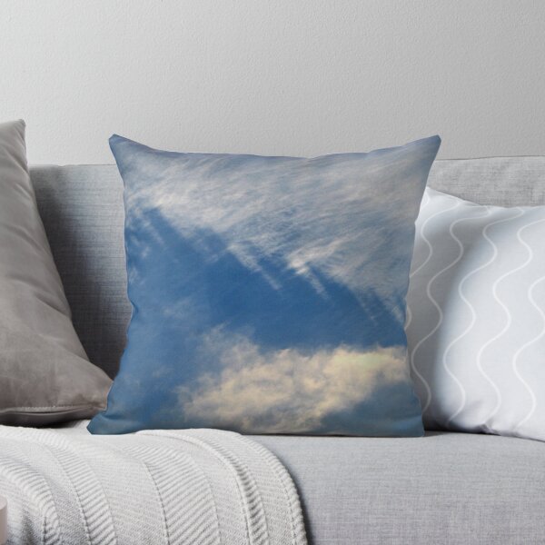 Untitled Throw Pillow