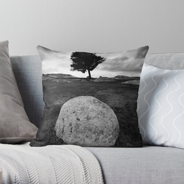Black and White Egg Throw Pillow