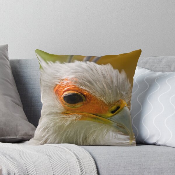Item preview, Secretary Bird designed and sold by tarnyacox.