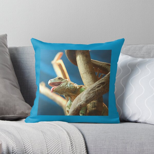 Throw Pillow