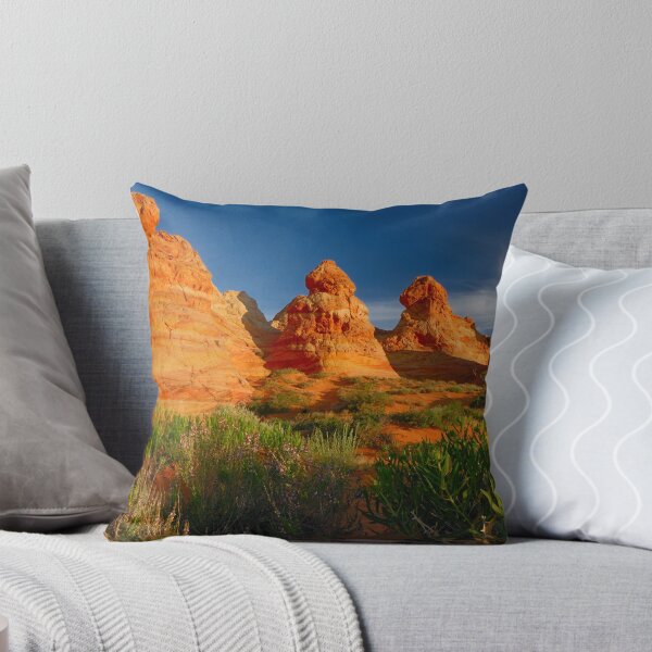 Item preview, South Coyote Buttes designed and sold by Thomas Peter.