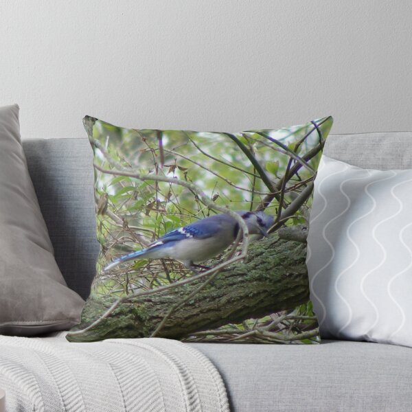 Item preview, Can I do something for you designed and sold by joedog.