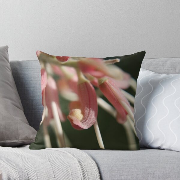 Item preview, Beauty up close  designed and sold by faulsey.
