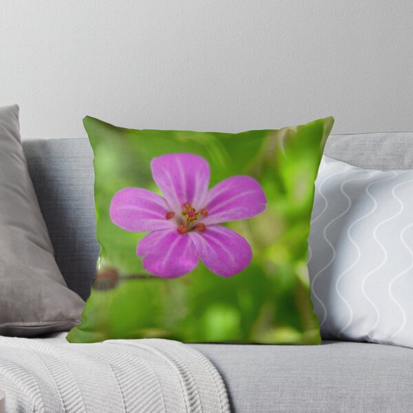 Aperçu de l'œuvre Herb Robert créée et vendue par Lindamell.