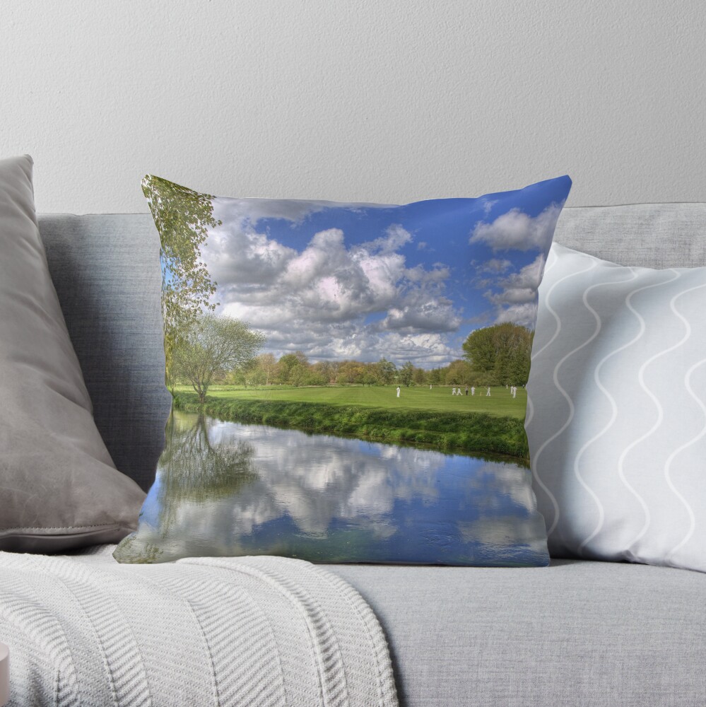 It Just Isn't Cricket, is it? Throw Pillow