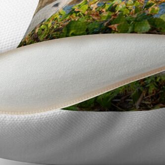 Alternate view of Poised Throw Pillow