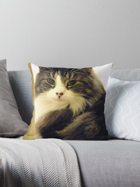 Framed Throw Pillow
