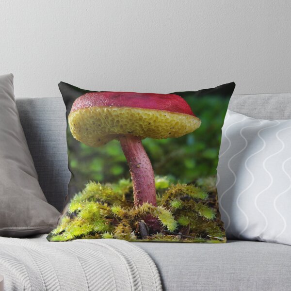 Item preview, Leven Toadstool designed and sold by Greg Eyre.