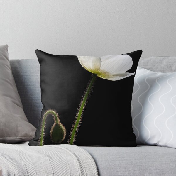 Item preview, Look To The Light designed and sold by Bobby McLeod.