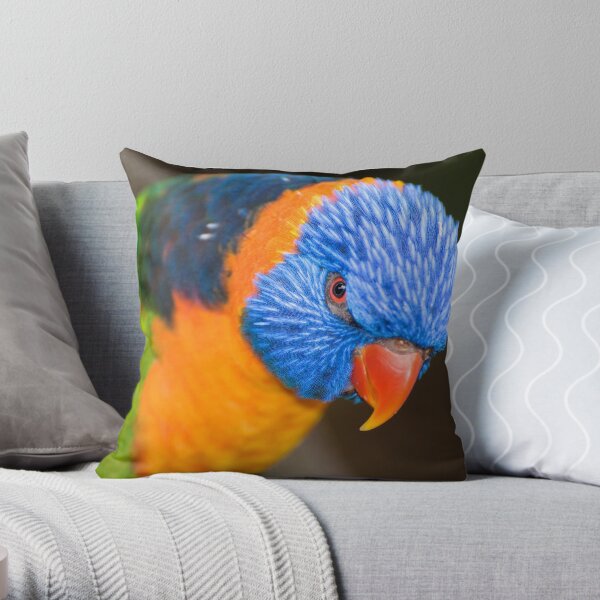 Stare Down Throw Pillow