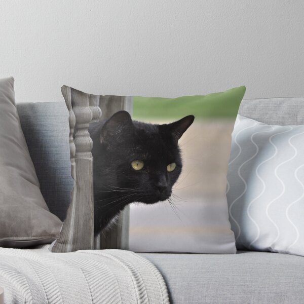 Item preview, Sam designed and sold by Jeff VanDyke.