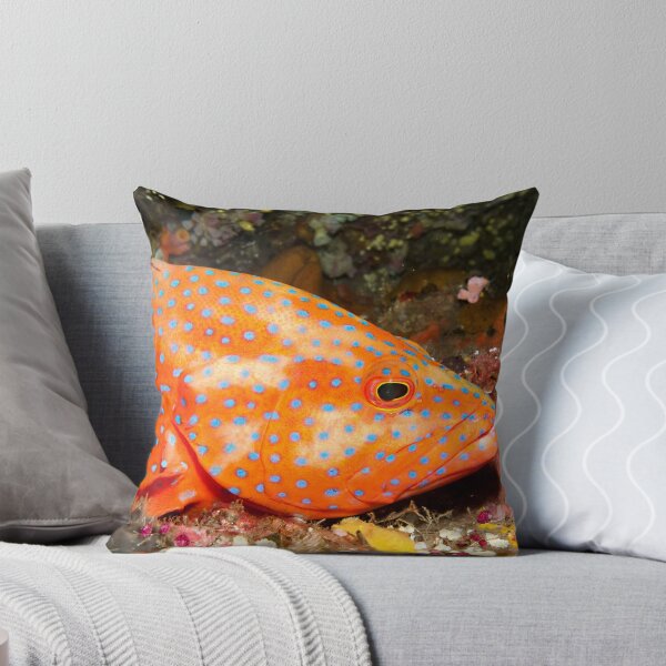Aperçu de l'œuvre Coral Grouper créée et vendue par Marcel Botman.