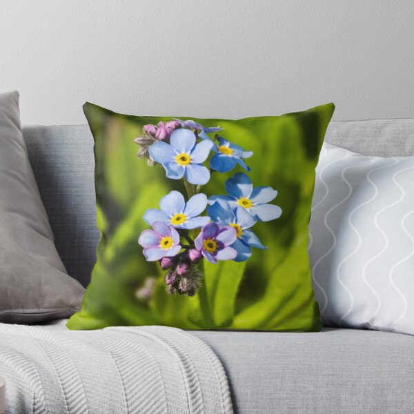 Forget-me-not Flowers (Myosotis arvensis) Throw Pillow