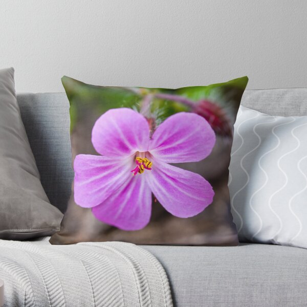 Herb Robert (Geranium robertianum) Throw Pillow