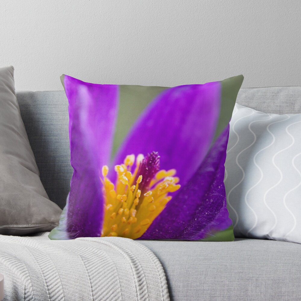 Pasqueflower (Pulsitilla vulgaris) Throw Pillow