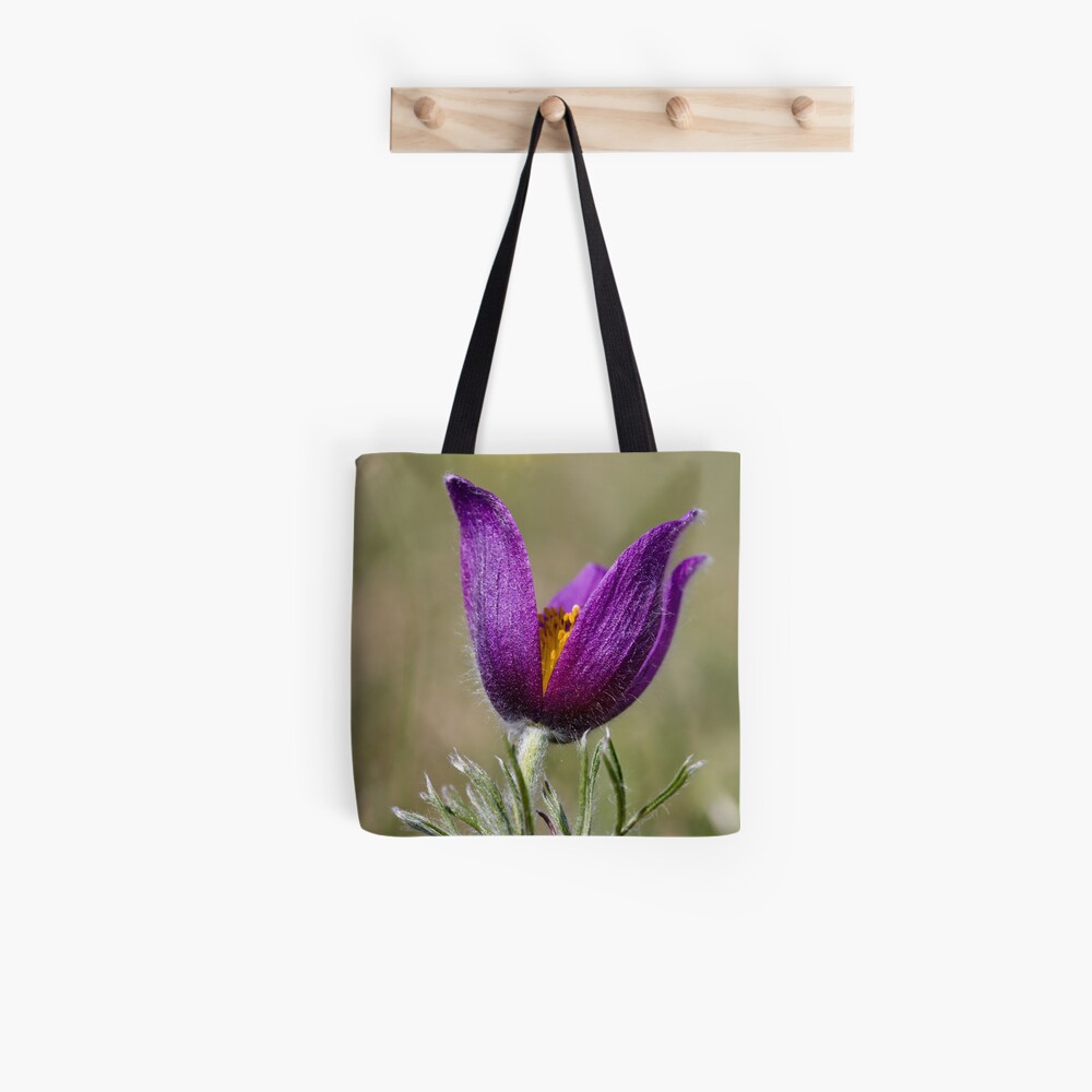 Pasqueflower (Pulsitilla vulgaris) Tote Bag